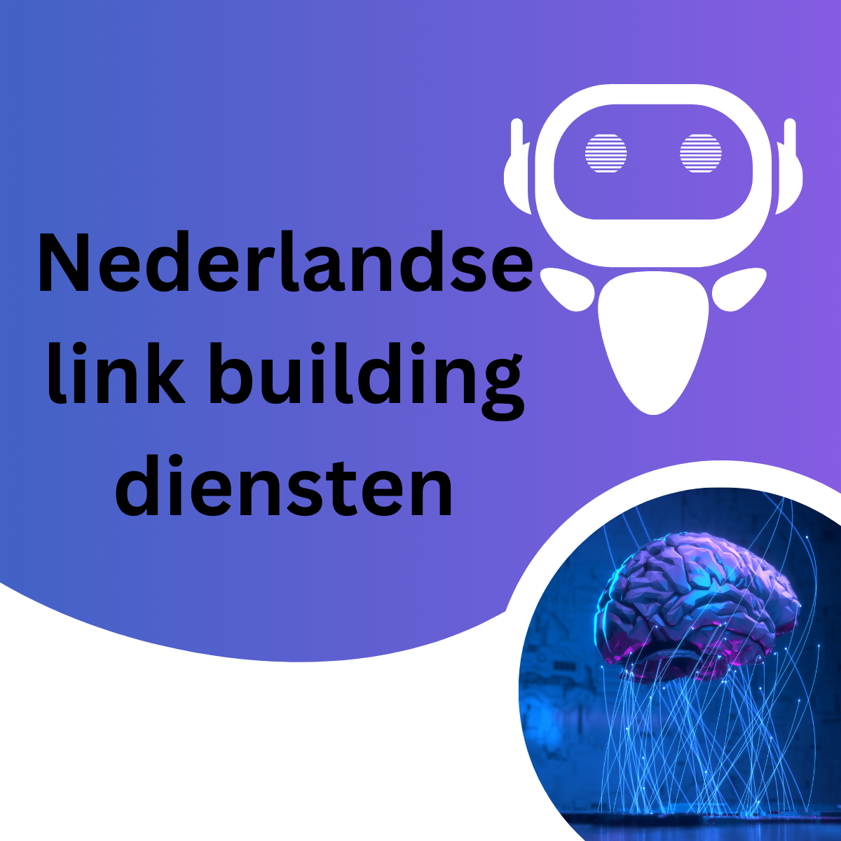 Nederlandse link building diensten